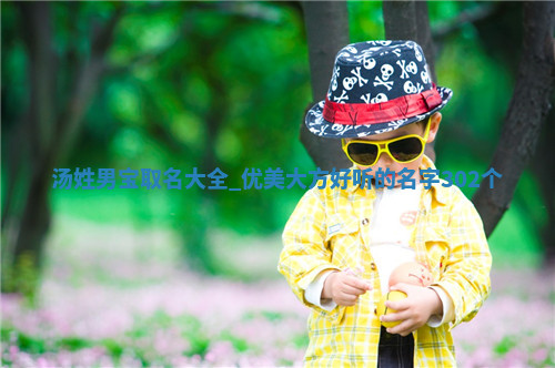 汤姓优美大方的男宝名字